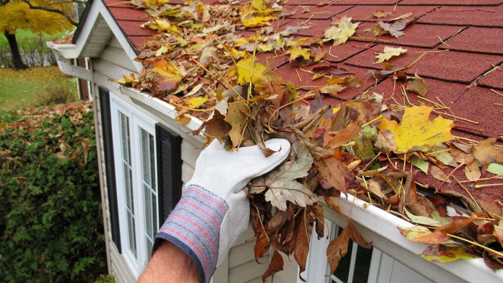 Image of person doing home maintenance removing leaves from gutter