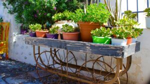 Image of raised garden containers with plants.