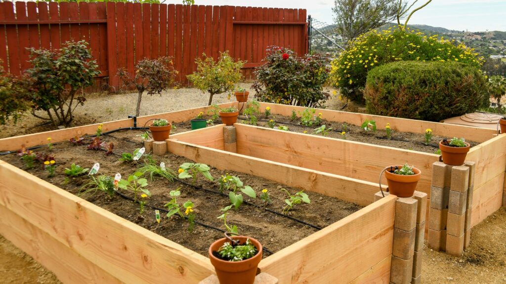 raised wooden plant beds with fruits and vegetables planted.