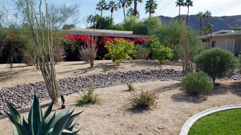 Example of xeriscaping garden.